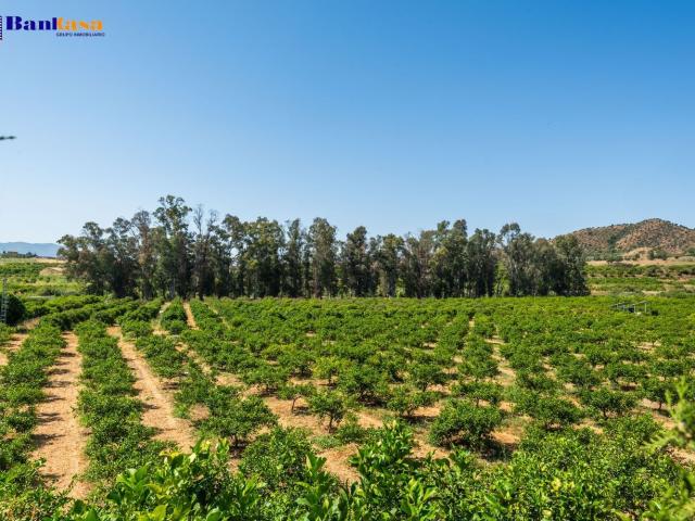 Terreno en venta en Valle del Guadalhorce, Andalucía