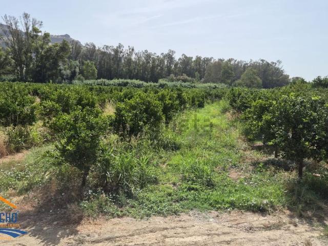 Terreno en venta en Valle del Guadalhorce, Andalucía