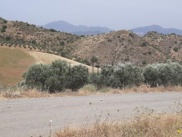 Terreno en venta en Pizarra, Málaga