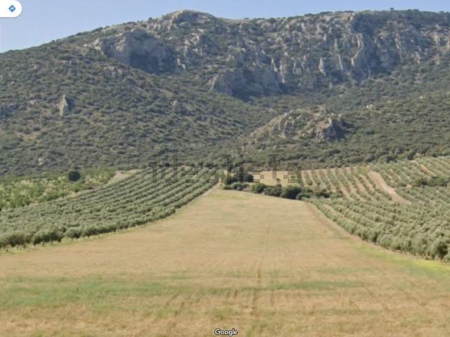 Terreno en venta en Morelábor, Granada