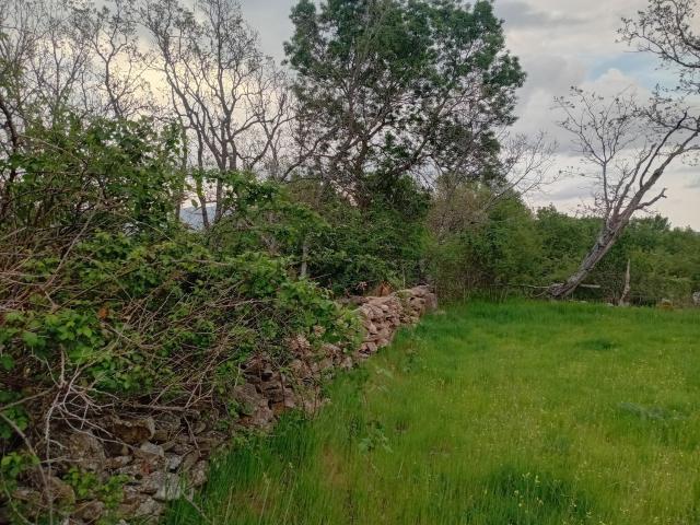 Terreno en venta en Piñuécar-gandullas, Madrid