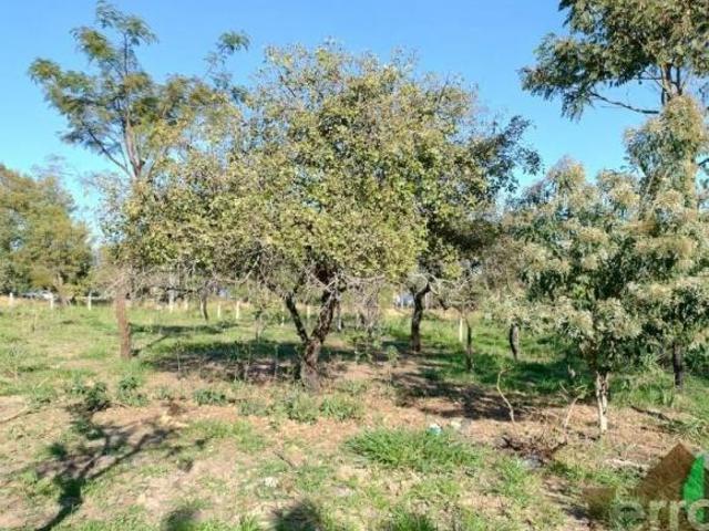 Terreno venda em Região Imediata de São Carlos, Itirapina