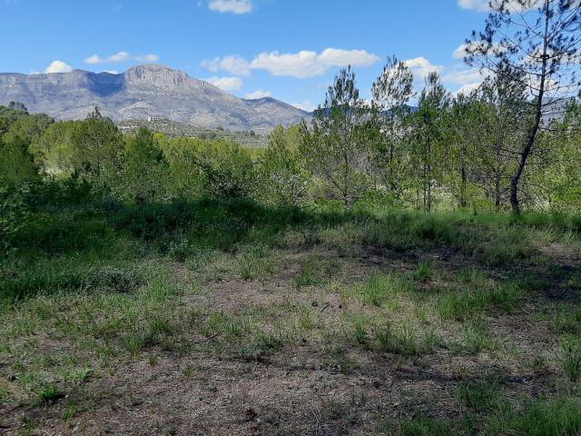 Terreno en venta en el Comtat, Valencia