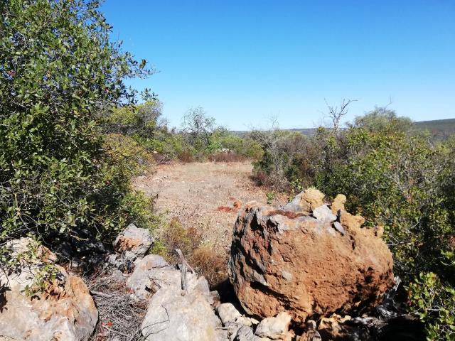 Terreno venda em Loulé, Faro