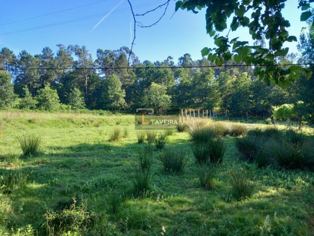 Terreno venda em Arcos De Valdevez, Viana Do Castelo
