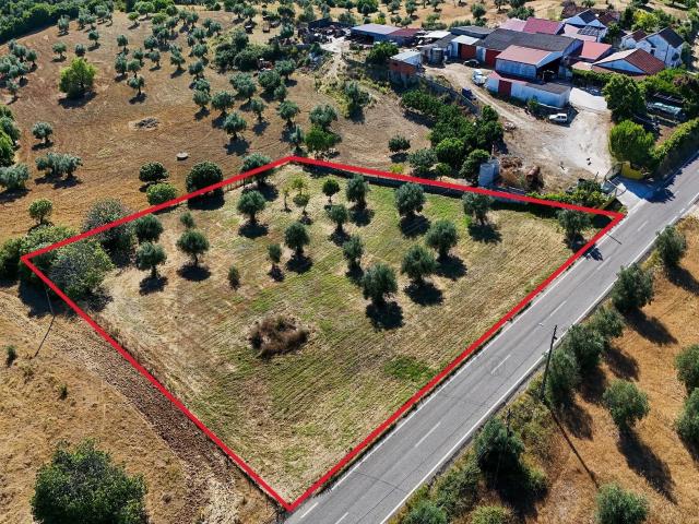 Terreno venda em Santarém