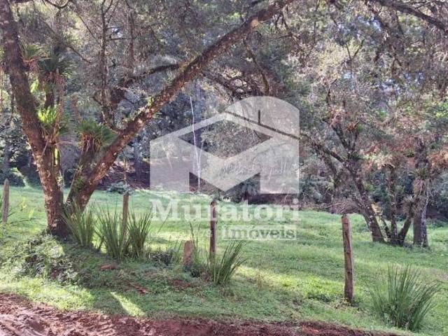 Terreno venda em Vila Paulista, Campos do Jordão