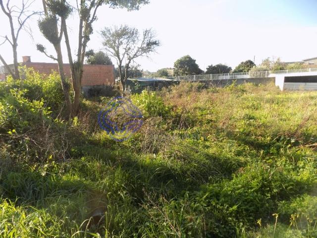 Terreno venda em Santa Maria Da Feira, Aveiro