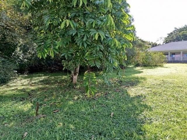 Terreno venda em Rocio, Morretes