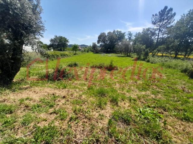 Terreno venda em Quinta do Morangal, Águeda