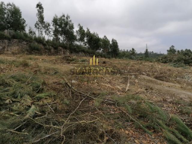 Terreno venda em Paredes, Bitarães
