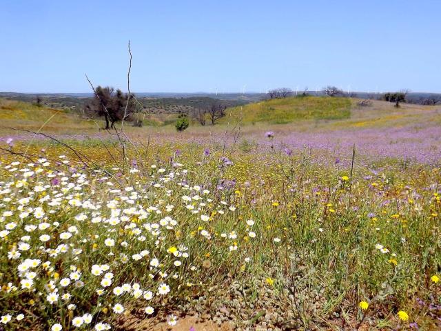 Terreno venda em Castro Marim, Faro
