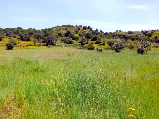 Terreno venda em Castro Marim, Faro