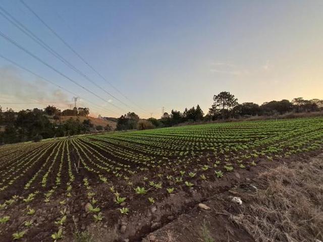 Terreno venda em Região Imediata de Sorocaba, Região Metropolitana de Sorocaba