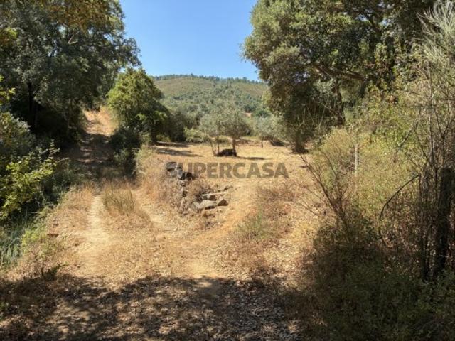 Terreno venda em Castelo Branco, Aldeia Nova Do Cabo