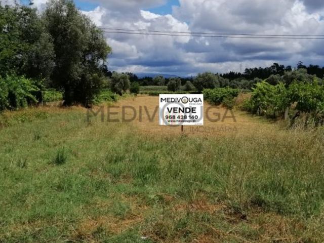 Terreno venda em Quinta do Morangal, Águeda