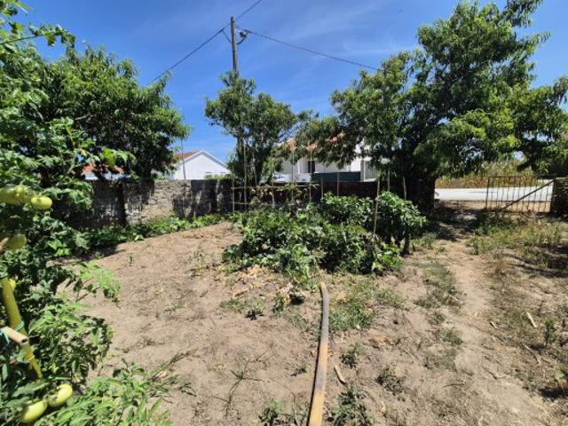 Terreno venda em Figueira Da Foz, Coimbra