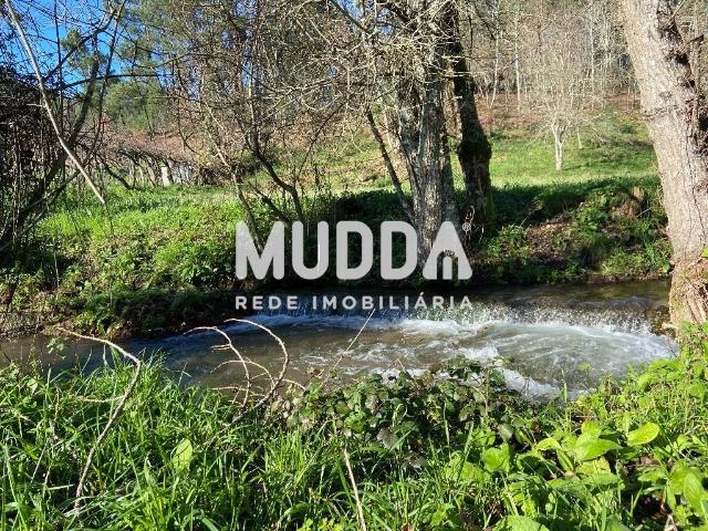 Terreno venda em Castro Daire, Viseu