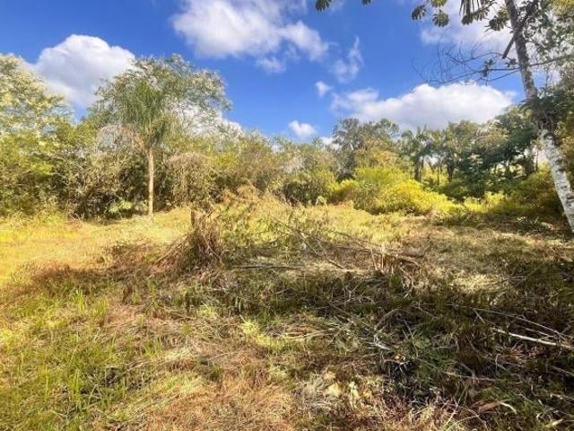 Terreno venda em Região Geográfica Imediata de Paranaguá, Morretes