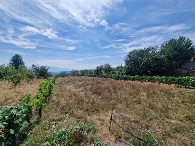 Terreno venda em Vila Real