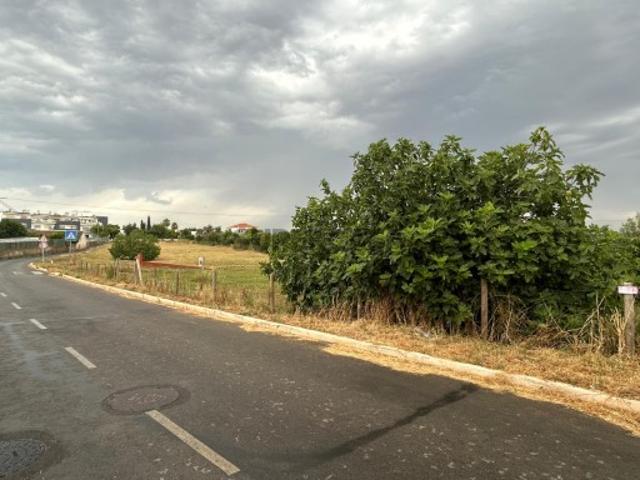 Terreno venda em Cascalhão, Tavira