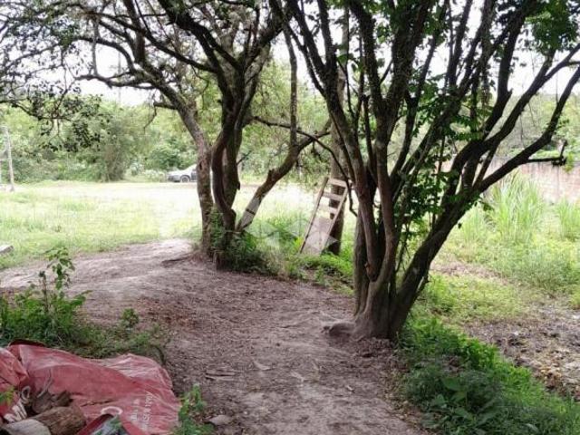 Terreno venda em Região Geográfica Imediata de Goiás - Itapuranga, Nova Crixás