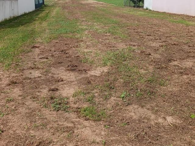 Terreno venda em Ovar, Aveiro