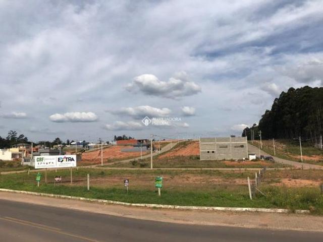 Terreno venda em Região Geográfica Imediata de Montenegro, Região Metropolitana de Porto Alegre