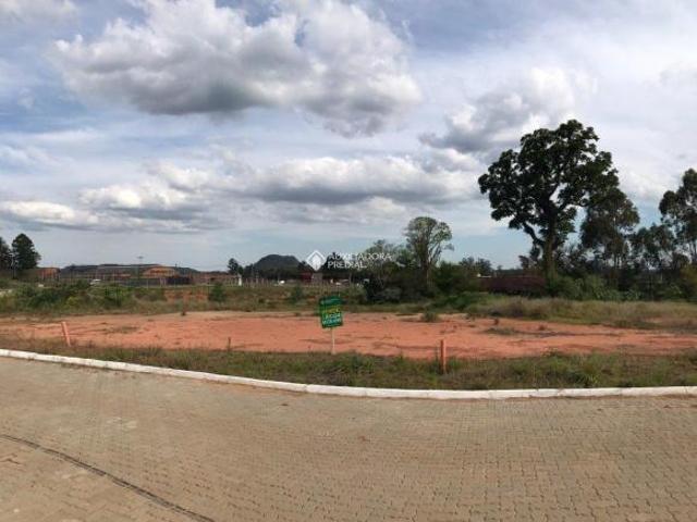 Terreno venda em Região Geográfica Imediata de Montenegro, Região Metropolitana de Porto Alegre