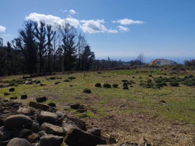 Terreno venda em Fajã Da Ovelha, Ilha Da Madeira
