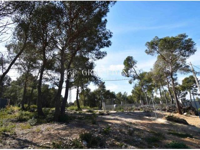 Local Comercial en venta en les Palmeres, Garraf