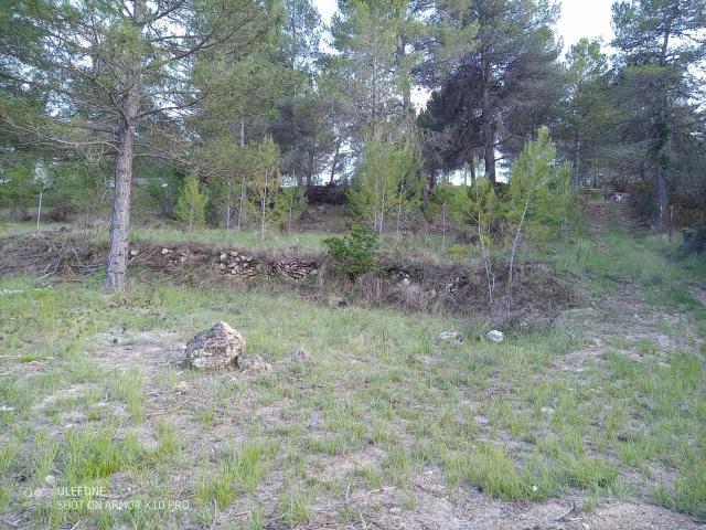 Terreno en venta en l'Albornar, Baix Penedès