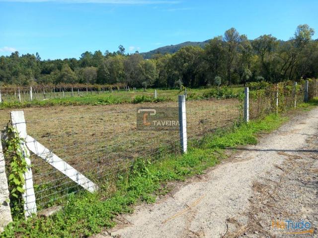 Terreno venda em Arcos De Valdevez, Viana Do Castelo