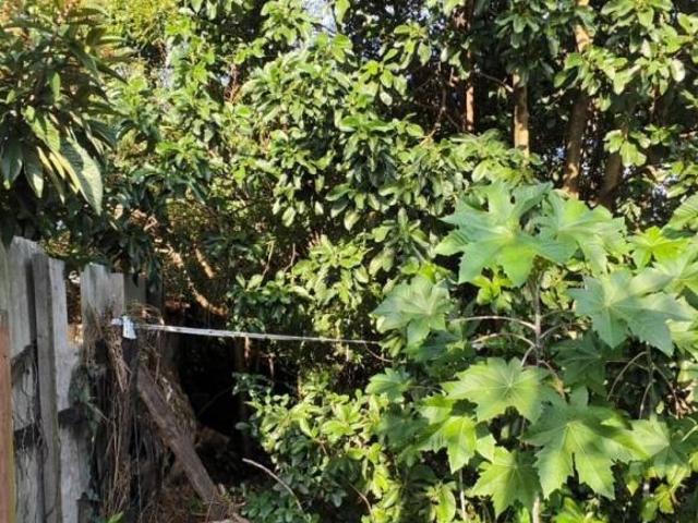 Terreno venda em Região Geográfica Imediata de Porto Alegre, Região Metropolitana de Porto Alegre