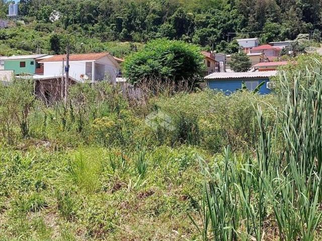 Terreno venda em Região Geográfica Imediata de Bento Gonçalves, Bento Gonçalves