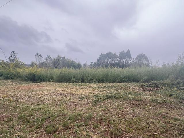 Terreno venda em Viseu