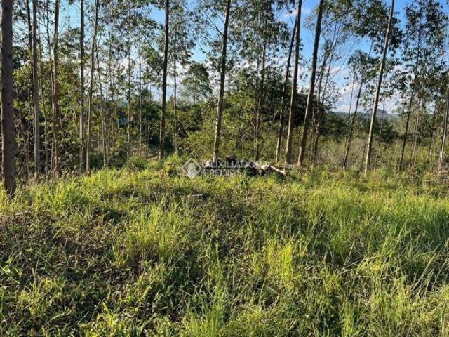 Terreno venda em Região Geográfica Imediata de Montenegro, Região Metropolitana de Porto Alegre