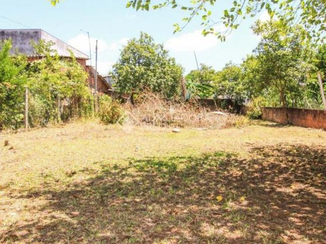 Terreno venda em São Leopoldo