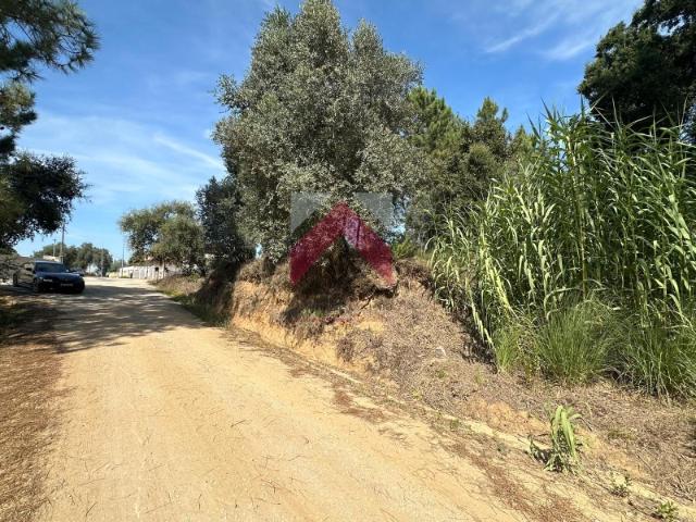 Terreno venda em Oliveira Do Bairro, Aveiro