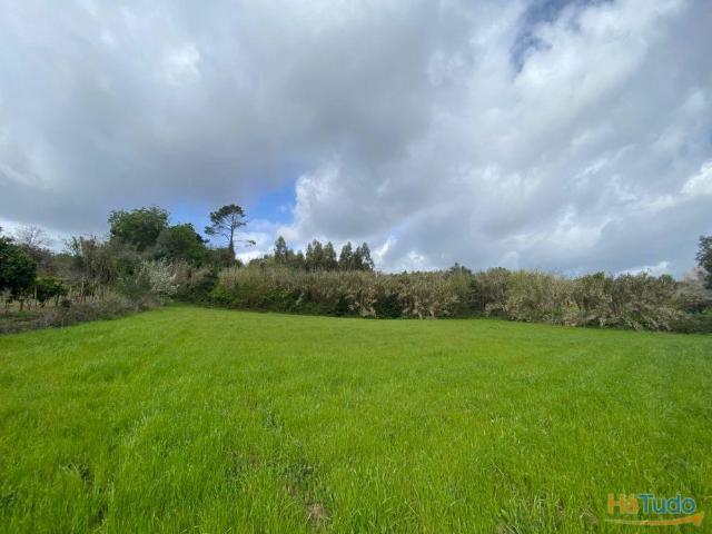 Terreno venda em Coimbrã, Coimbra