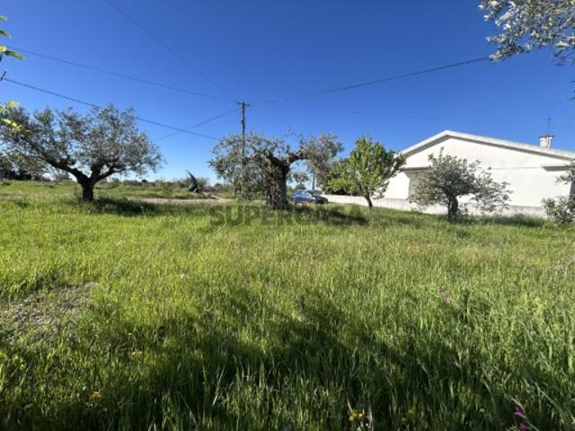 Terreno venda em Vale Carneiro, Tomar