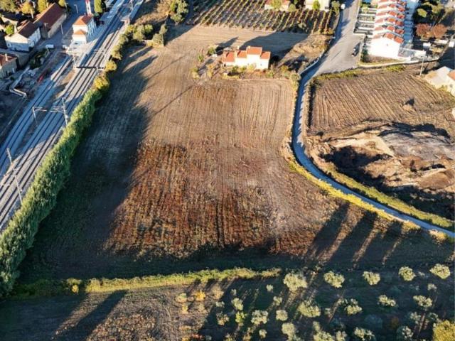 Terreno venda em Castelo Branco