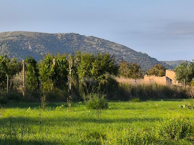 Terreno en venta en Pla de Mallorca, Baleares