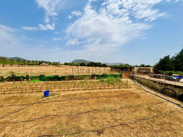 Terreno en venta en Raiguer, Baleares