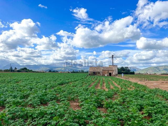 Terreno en venta en Raiguer, Baleares