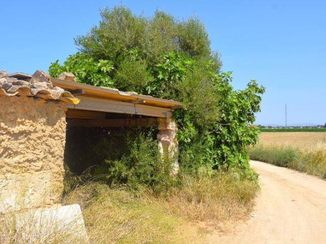 Terreno en venta en Raiguer, Baleares