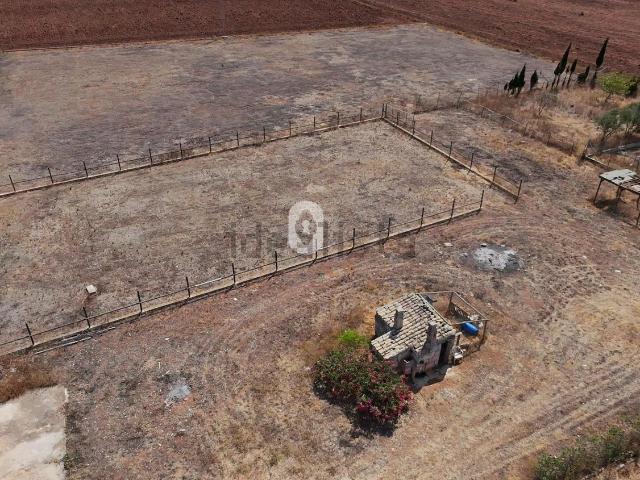 Terreno en alquiler en Raiguer, Baleares