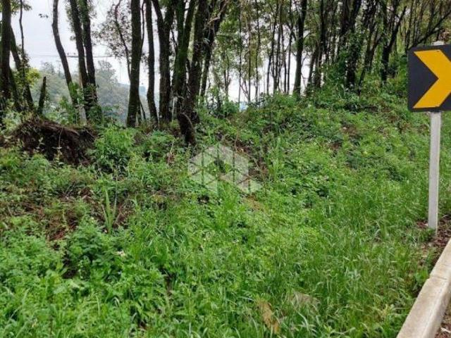 Terreno venda em Região Geográfica Imediata de Montenegro, Região Sul