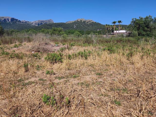 Terreno en venta en Serra de Tramuntana, Baleares