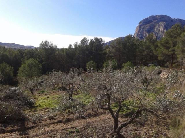 Terreno en venta en Xirles, Polop